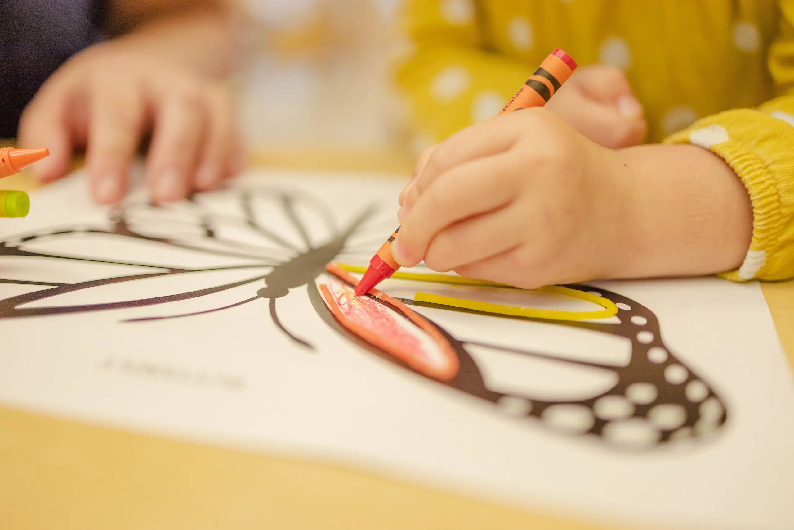 Child coloring in a butterfly